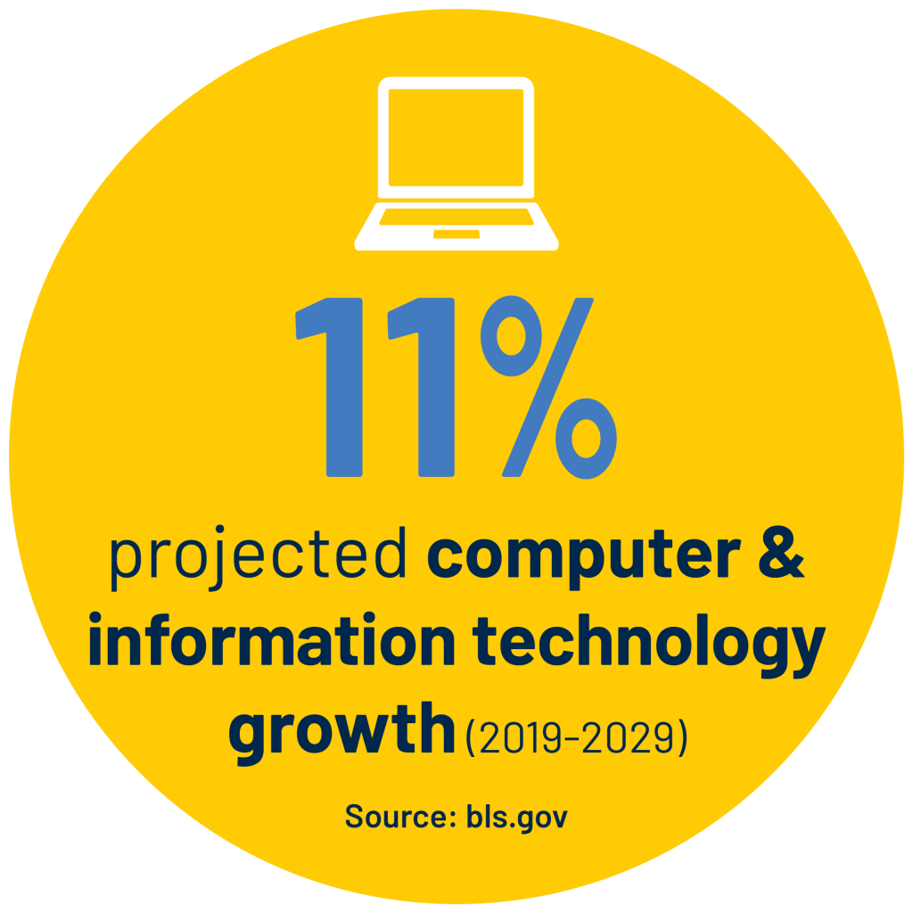 11% projected computer & information technology growth (2019-2029) stat. Source: bls.gov
