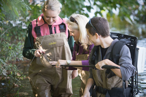 Faculty and two students looking for lamprey larvae samples in Flint River.