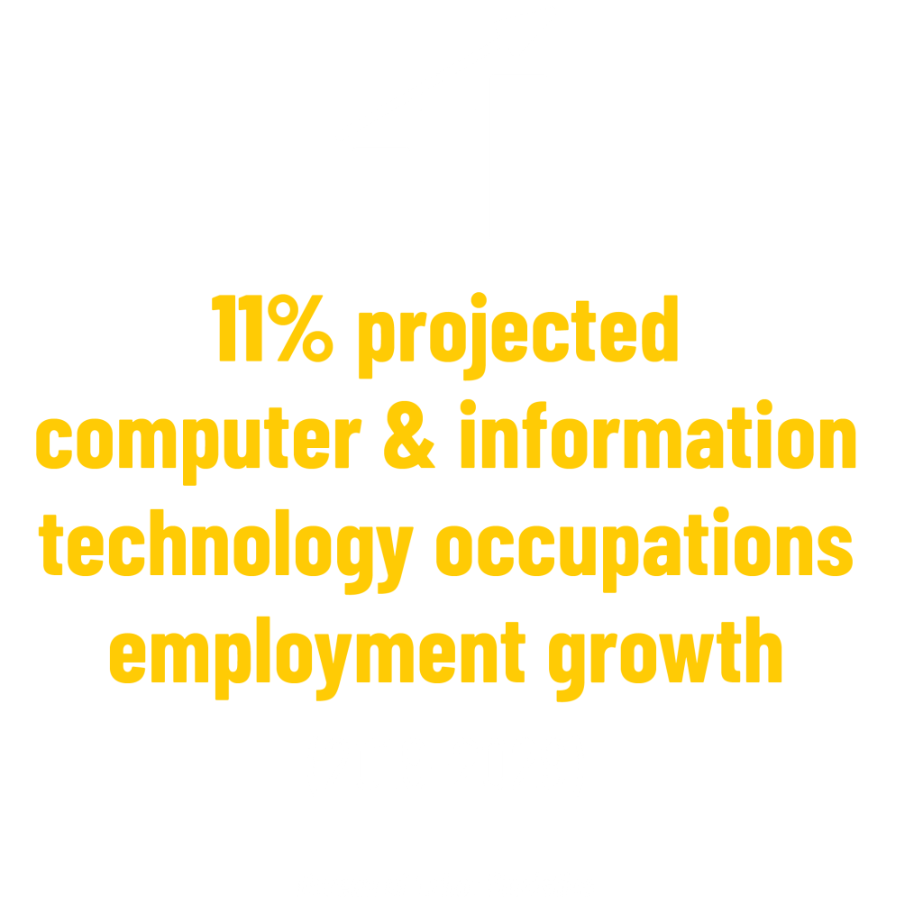 11% projected computer & information technology occupations employment growth (2019-2029) stat. Bureau of Labor Statistics